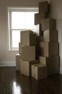 A stack of cardboard boxes can offer planting space for an entire garden.